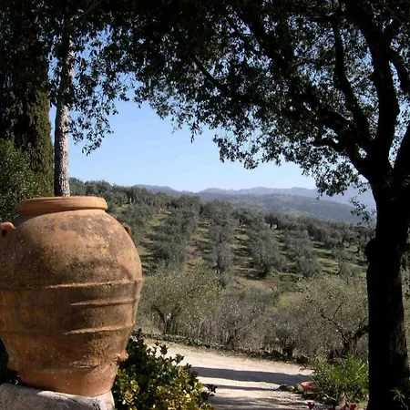 Tenuta Colfiorito *